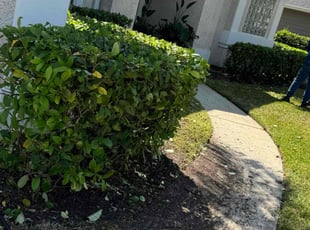 Bush Trimming by Delson Auguste for Maksym B. in Orange Park, FL