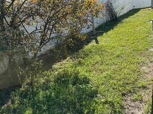 Weeding by Ben Handy for Akash P. in Orlando, FL