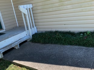 Bush Trimming by William Braun for Jacqueline W. in Marietta, GA