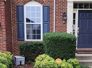 Bush Trimming by Gustavo Martinez for Leah G. in Woodbridge, VA