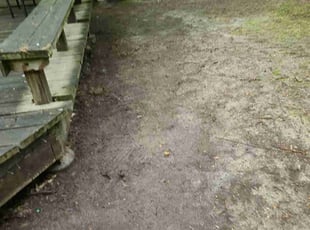 Leaf Removal by Jose Gonzalez for Joaquin J. in Fort Washington, MD