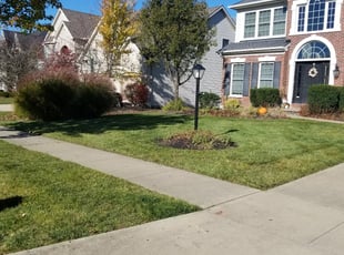 Leaf Removal by Eugene Makowski for Nada A. in Strongsville, OH