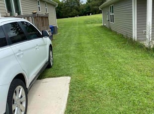 Rochelle M.'s Grass Cutting service result