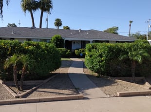 Bush Trimming by Toni Vaughn for Heather J. in Phoenix, AZ
