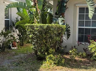 Bush Trimming by Harold Cummings for Juanita T. in Melbourne, FL