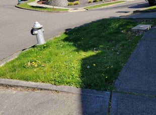 Cleanups by Gordon Grylls for Gary T. in Puyallup, WA