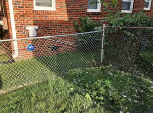 Cleanups by Derrick Graves for Carolyn B. in Washington, DC