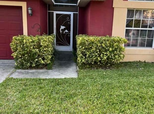 Bush Trimming by Mila Boza for Colleen L. in Groveland, FL