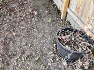Leaf Removal by Deon Thompson for Kevin M. in Hazel Park, MI
