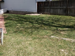 Leaf Removal by Arsenio Townsell for Joan F. in Littleton, CO