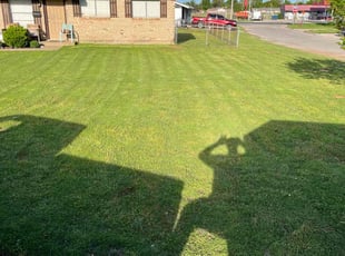 Goldie P.'s Yard Cutting service result