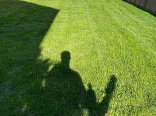 Briar H.'s Lawn Care service result