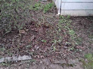 Cleanups by Jay T for Suzanne T. in Akron, OH