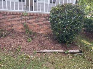 Bush Trimming by Jonathan Clark for Pablo F. in Snellville, GA