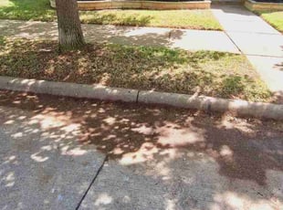 Leaf Removal by Kevin Jesus Valencia for Mike S. in Savannah, TX