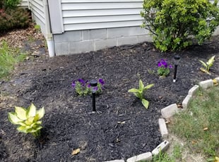 Weeding by Mike Trovato for Anthony N. in Blacklick, OH