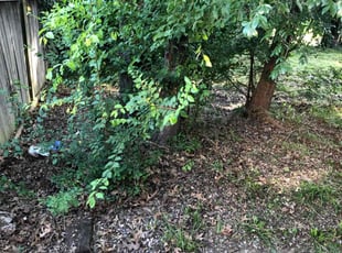 Cleanups by Paul Handley for Janean S. in Broken Arrow, OK