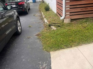 Bush Trimming by Marquis Reid for Callie S. in St. Louis, MO