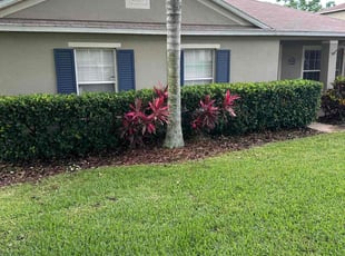 Bush Trimming by Terry Lampo for DJ M. in Clermont, FL
