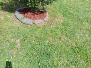 Landscaping by Johnny Hall for Arlene N. in Jackson, MS