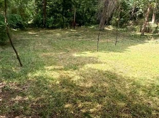 Cleanups by Dante Bradford for Emily C. in East Point, GA