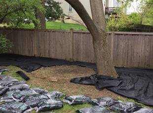 Mulching by Kamonta Hackey for Melissa C. in Silver Spring, MD