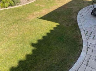 Leaf Removal by Michael Rizzo for Eugenio L. in Tempe, AZ