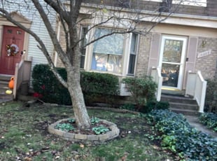 Bush Trimming by Daniel Shannon for Andre W. in Fredericksburg, VA