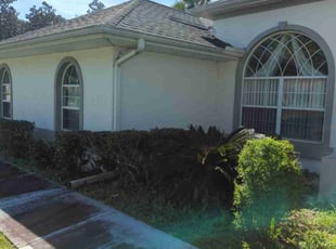 Bush Trimming by Jr Valle for Michelle L. in Palm Coast, FL