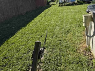 Tina P.'s Lawn Care service result