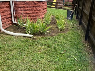 Cleanups by Ted Ostavitz for Amber H. in Cincinnati, OH