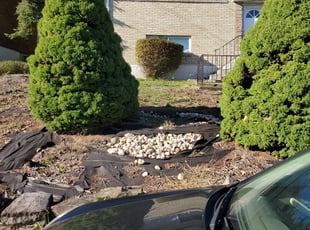 Bush Trimming by Joshua Bauer for Deann H. in Verona, PA