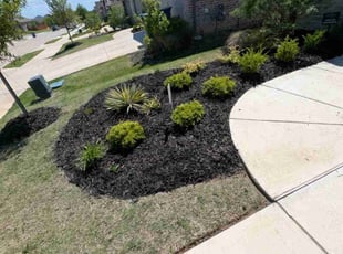 Mulching by Dominique Craft for Paula R. in Little Elm, TX