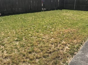 Cleanups by Antonio Amarante for Charles R A. in Providence, RI