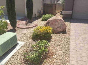 Bush Trimming by Lamont Johnson for Alex M. in North Las Vegas, NV
