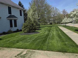 Danielle D.'s Lawn Mowing Service service result