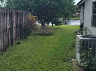 Bush Trimming by Jorge Avila for Jose E. in Cooper City, FL