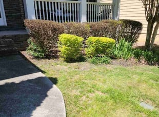 Bush Trimming by Carlos Wright for LaSanda H. in Lawrenceville, GA