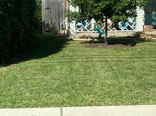 Bush Trimming by Victor Ramirez for Tolga D. in Dallas, TX