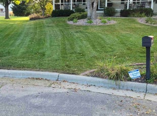 Jennifer N.'s Yard Cutting service result