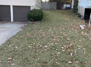 Leaf Removal by Johnathon Barrett for Tricia G. in Grand Rapids, MI
