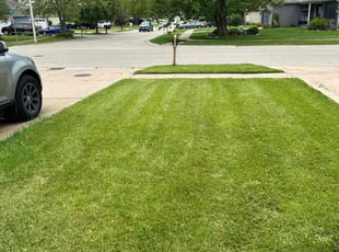 Eddy W.'s Lawn Mowing service result