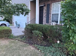 Bush Trimming by Kevrek Frierson for Reese H. in Murfreesboro, TN