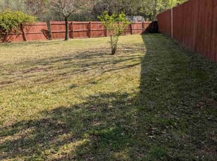 Leaf Removal by Elizabeth Cruz for Chad W. in Garland, TX