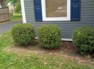 Bush Trimming by Lance Reynolds for Ellie J. in Roeland Park, KS