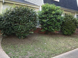 Cleanups by Jacobi Jones for MONICA A. in Charlotte, NC