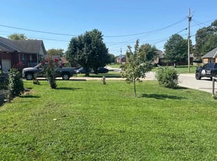 Robert Z.'s Grass Cutting service result