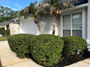 Bush Trimming by Charleyne Brown for Lauren C. in Jacksonville, FL