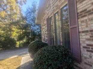 Bush Trimming by Dameatric Taylor for Yvonne H. in Fletcher, NC
