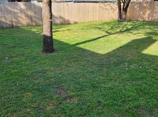 Leaf Removal by Juliana Ledezma for Miriam M. in Hutto, TX